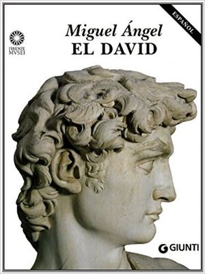 Miguel Ángel / David