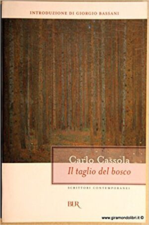 Taglio Bosco