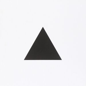 The triangle. Ediz. illustrata