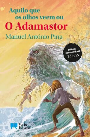 Aquilo que os olhos veem ou o Adamastor