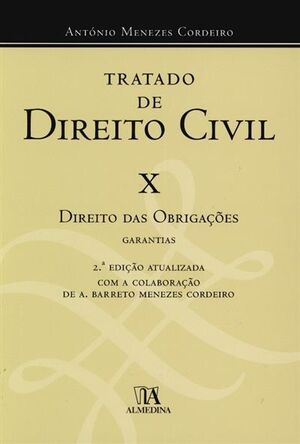 Tratado de Direito Civil X