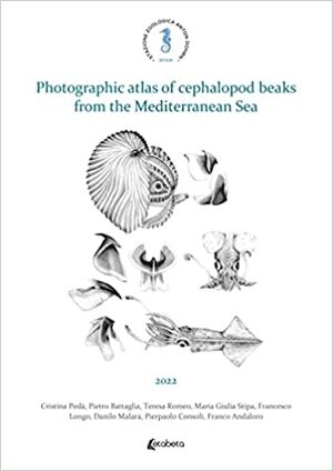 Photographic atlas of cephalopod beaks from the Mediterranean Sea