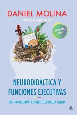 Neurodidáctica y funciones ejecutivas