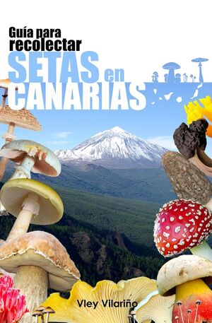Guía para Recolectar Setas en Canarias