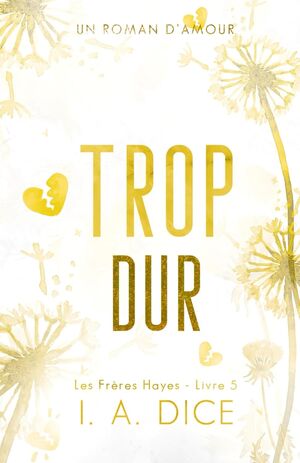 (05) Trop dur: Les Frères Hayes