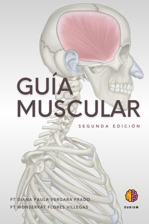 Guía Muscular