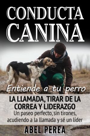 Conducta canina: entiende a tu perro