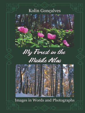 My Forest in the Middle Atlas: Images in Words and Photographs