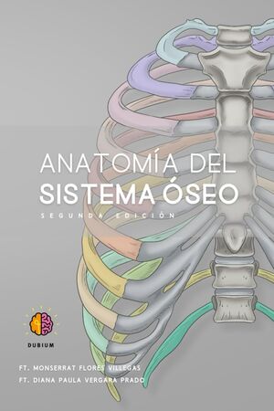 Anatomía del Sistema Óseo