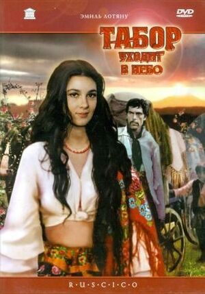 Tabor uchodit v nebo  (DVD)