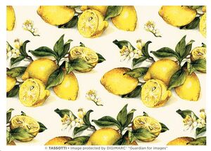 Tubo papel decorativo / Limoni (4 uds.)