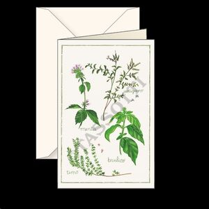 Tarjeta felicitación pequeña - Erbe Aromatiche