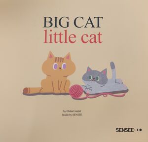 Libro con Braille / Big Cat, Little Cat